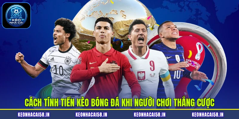 Cách Tính Tiền Kèo Bóng Đá Giúp Kiểm Soát Ngân Sách Hiệu Quả 2 Cách tính tiền kèo bóng đá khi người chơi thắng cược
