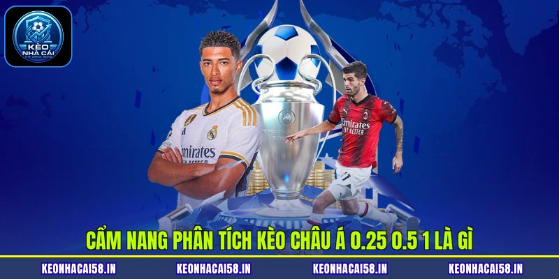 Kèo Châu Á 0.25 0.5 1 Là Gì? Hướng Dẫn Cách Chơi Chi Tiết 3 Cẩm nang phân tích kèo châu Á 0.25 0.5 1 là gì