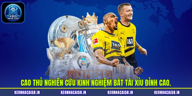 Kinh Nghiệm Bắt Tài Xỉu: Bí Kíp Từ Cao Thủ Kèo Nhà Cái 2 Cao thủ nghiên cứu kinh nghiệm bắt Tài Xỉu đỉnh cao