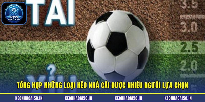 Tổng hợp những loại kèo nhà cái được nhiều người lựa chọn 