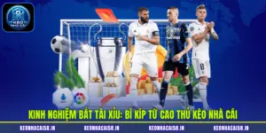 Kinh Nghiệm Bắt Tài Xỉu: Bí Kíp Từ Cao Thủ Kèo Nhà Cái